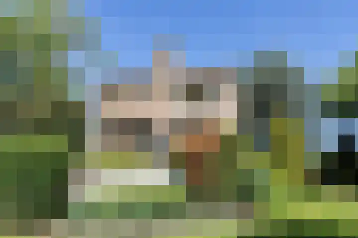 Graafdijk-oost 48 Molenaarsgraaf thumbnail 63