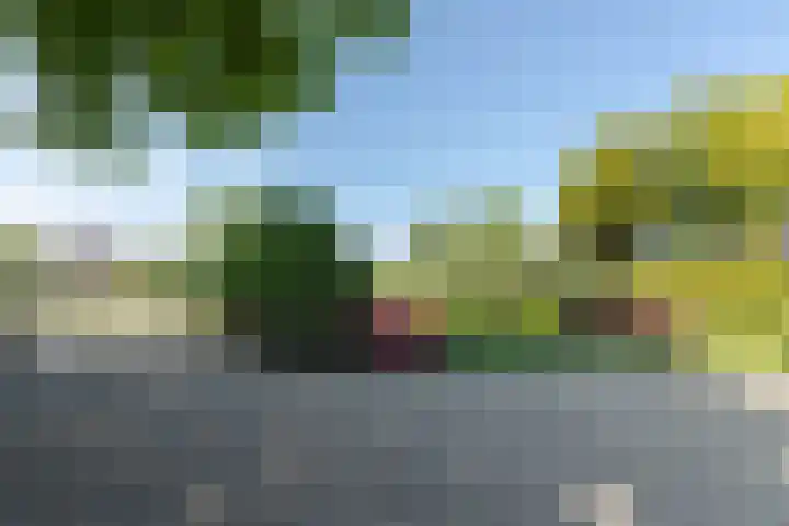 Graafdijk-oost 48 Molenaarsgraaf thumbnail 7