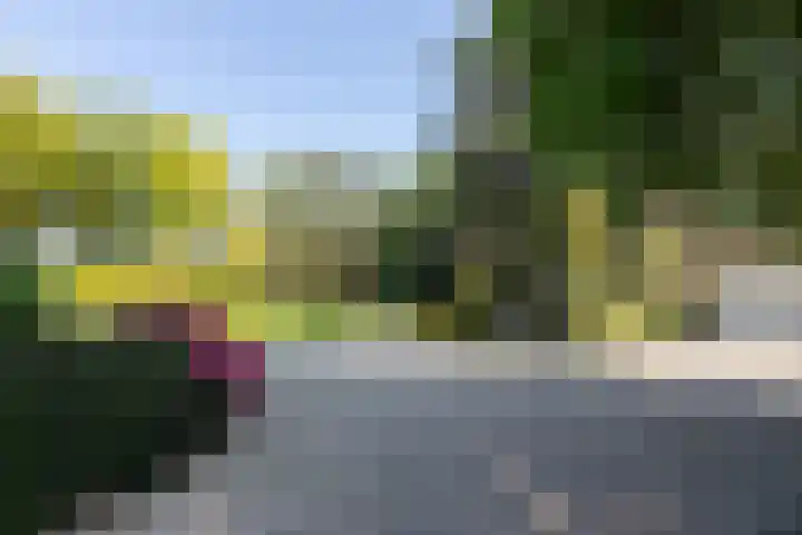 Graafdijk-oost 48 Molenaarsgraaf thumbnail 8