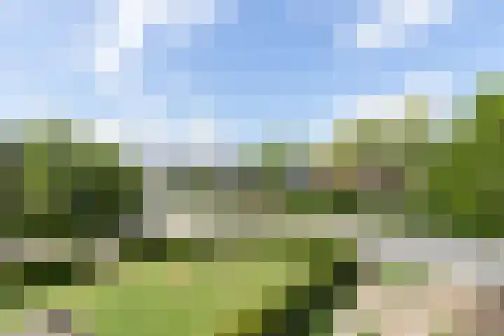 Graafdijk-oost 53 Molenaarsgraaf thumbnail 12