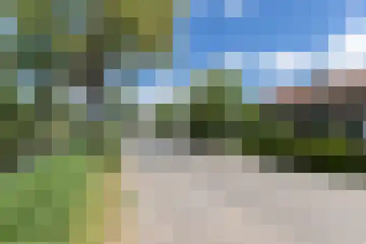 Graafdijk-oost 53 Molenaarsgraaf thumbnail 5