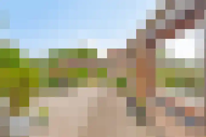 Graafjansdijk A 87 Westdorpe thumbnail 32