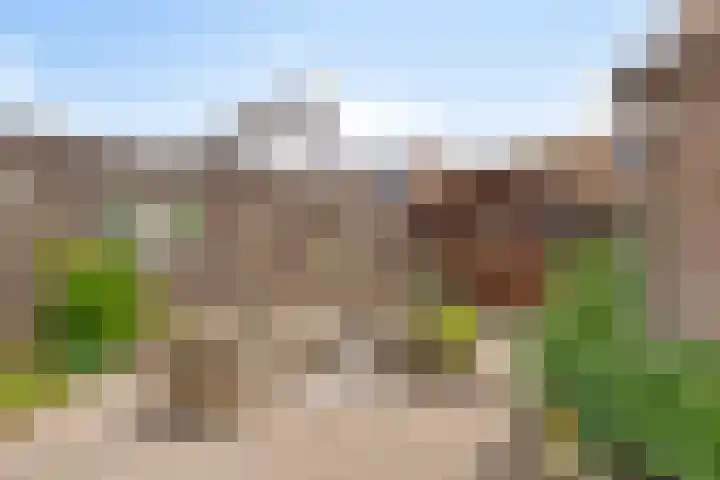 Graafjansdijk A 87 Westdorpe thumbnail 33