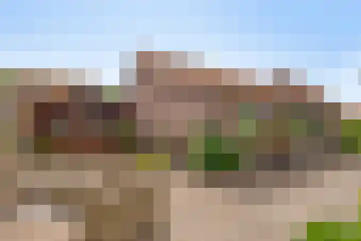 Graafjansdijk A 87 Westdorpe thumbnail 35