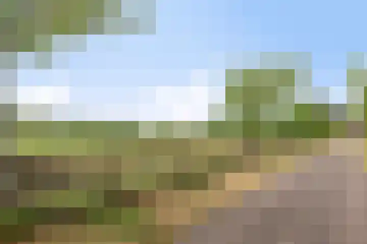 Graafjansdijk A 87 Westdorpe thumbnail 37