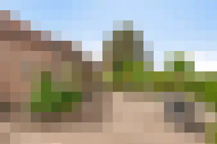 Graafjansdijk A 87 Westdorpe thumbnail 4
