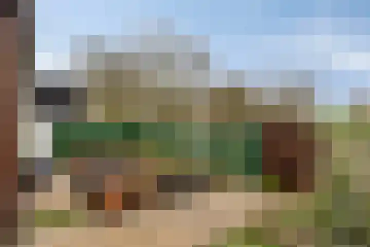 Graafjansdijk B 53 Westdorpe thumbnail 28