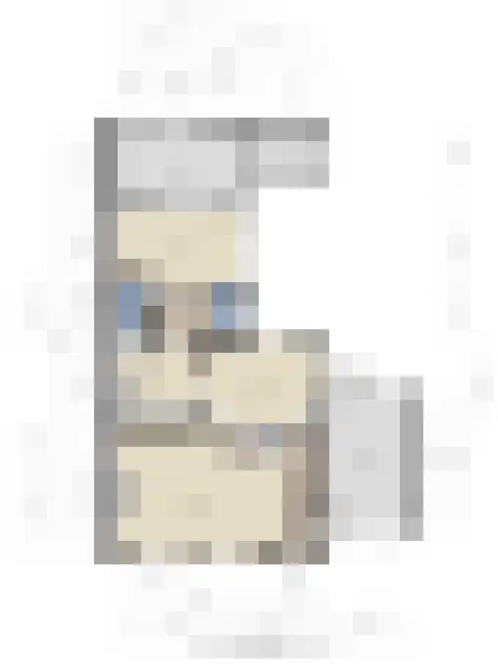 Graafjansdijk B 53 Westdorpe thumbnail 35