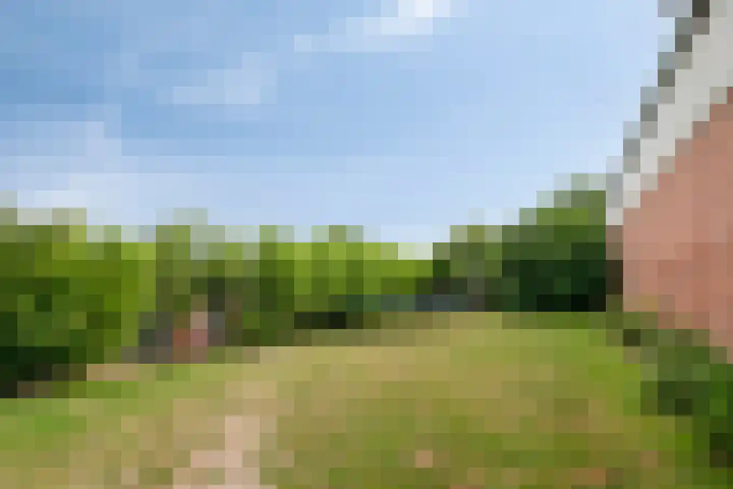 Graafjansdijk B 87 Westdorpe thumbnail 38