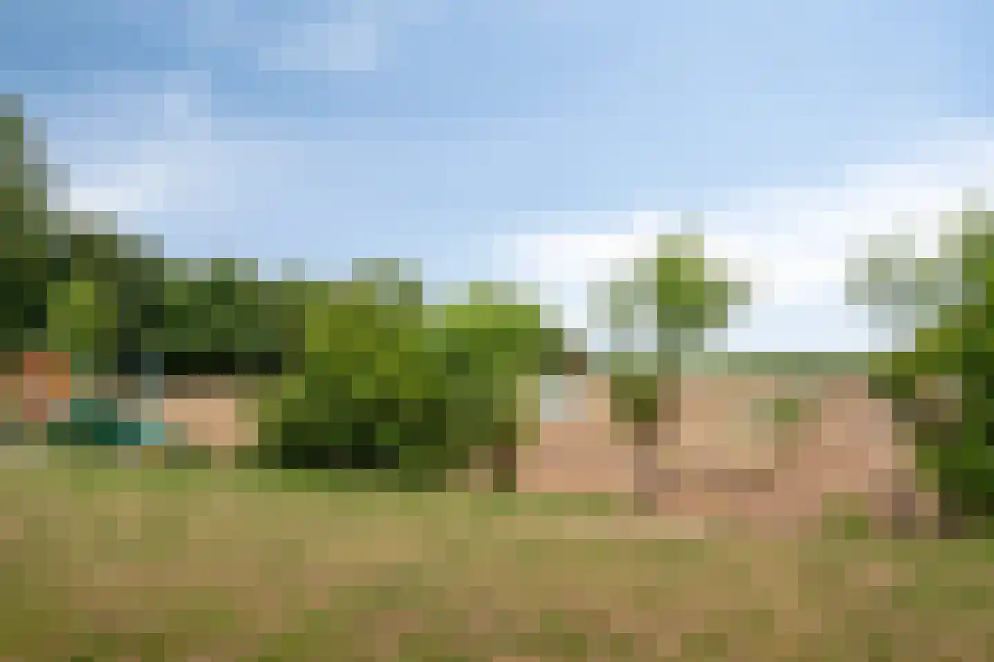 Graafjansdijk B 87 Westdorpe thumbnail 4
