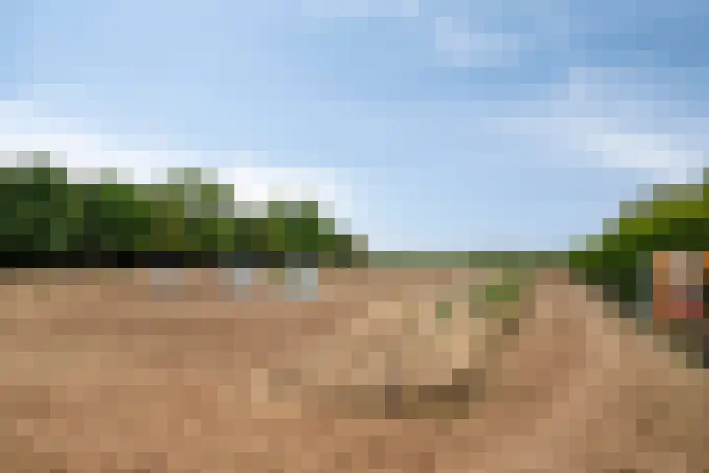 Graafjansdijk B 87 Westdorpe thumbnail 48
