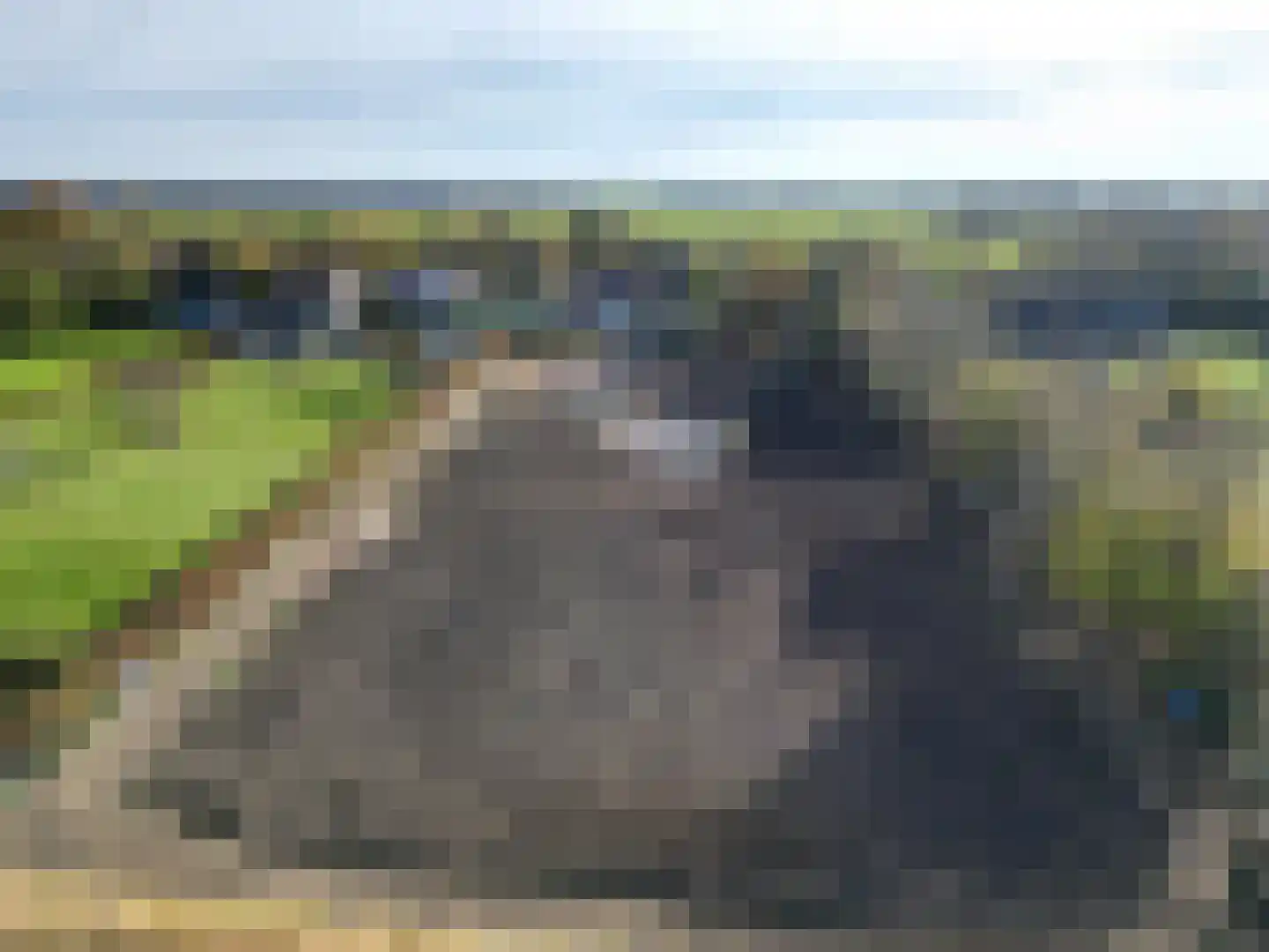 Graafjansdijk B 87 Westdorpe thumbnail 51