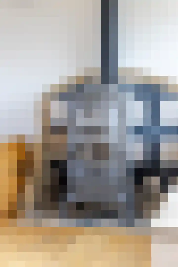 Graafland 31 Groot-Ammers thumbnail 13