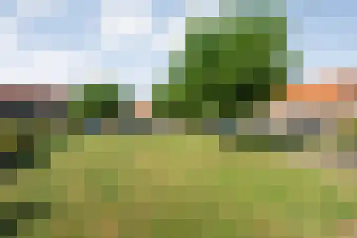 Graafland 8 c Groot-Ammers thumbnail 12