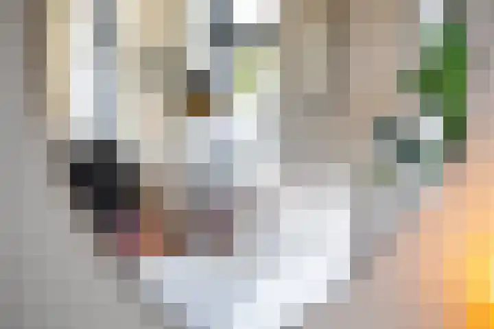 Graafland 8 c Groot-Ammers thumbnail 18