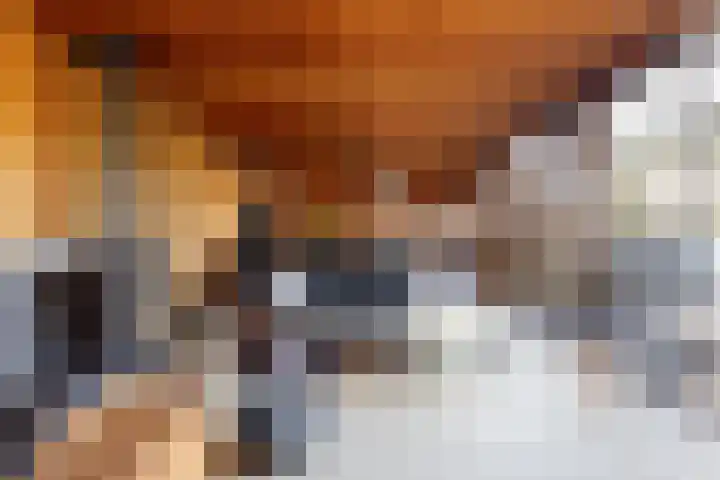 Graafland 8 c Groot-Ammers foto 2