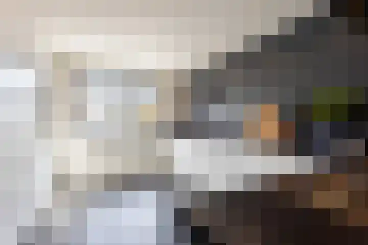 Graafland 8 c Groot-Ammers thumbnail 25