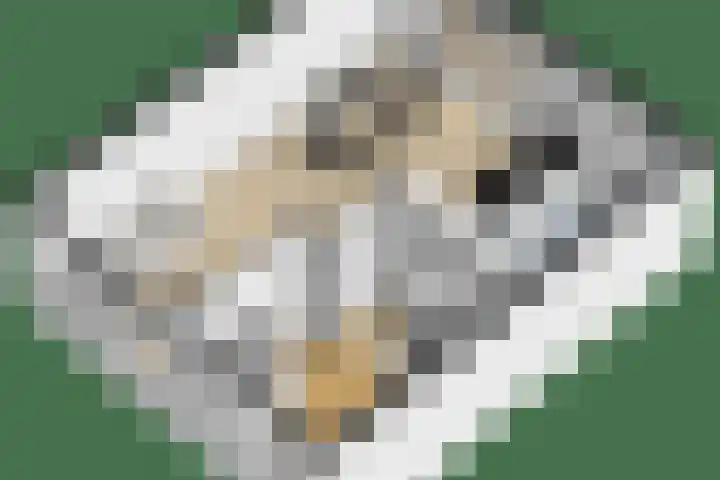 Graafland 8 c Groot-Ammers thumbnail 29