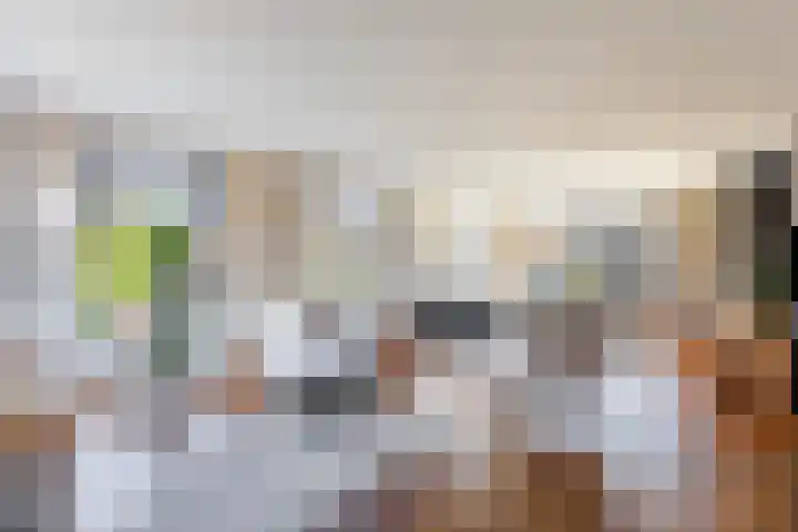 Graafland 8 c Groot-Ammers foto 3