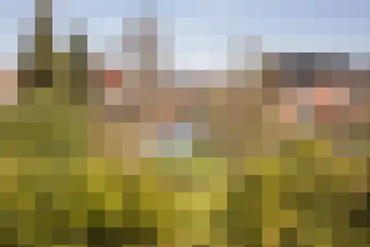 Graafland 8 c Groot-Ammers thumbnail 48