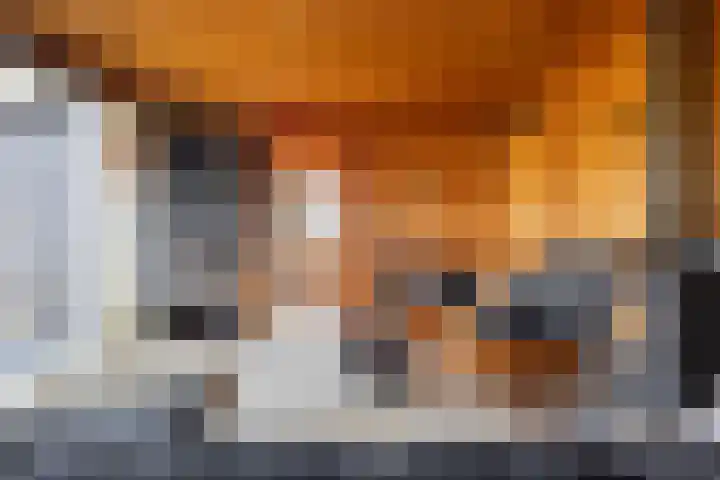 Graafland 8 c Groot-Ammers thumbnail 58