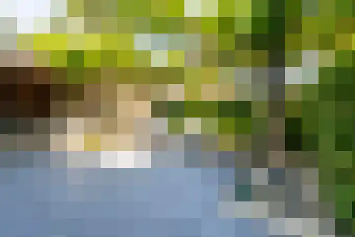 Graafland 8 c Groot-Ammers thumbnail 63