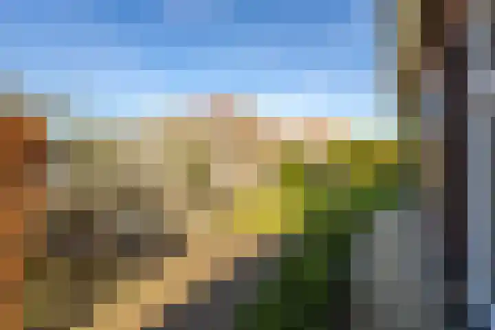 Graafland 8 c Groot-Ammers thumbnail 69