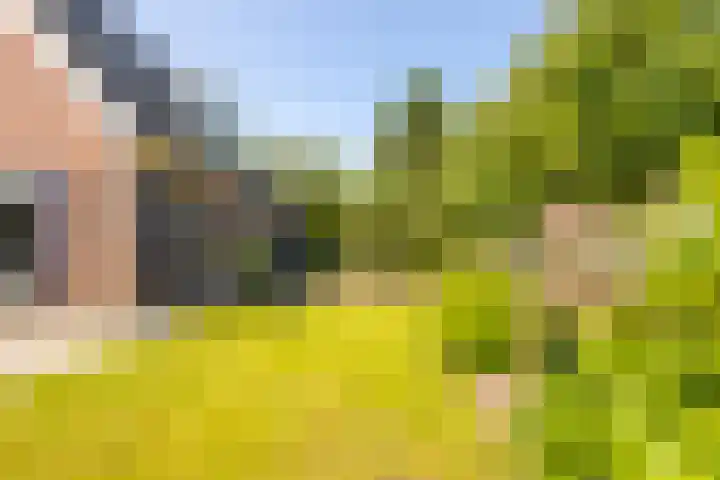 Graafland 8 c Groot-Ammers thumbnail 71