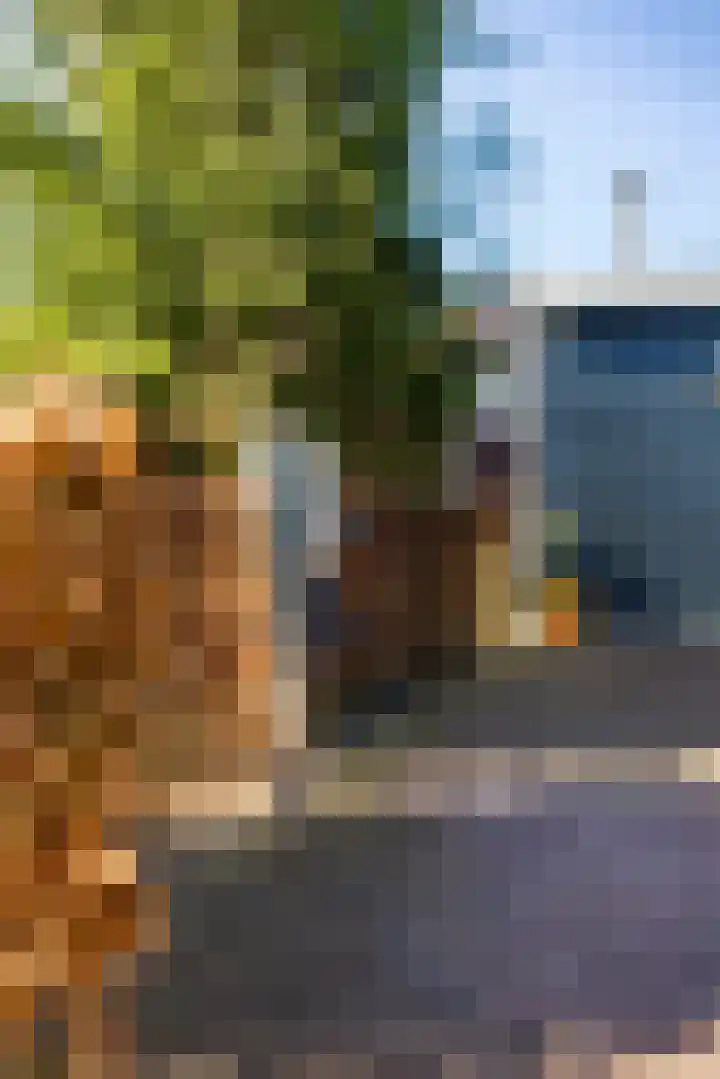 Graafland 8 c Groot-Ammers thumbnail 79