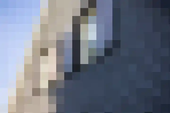 Graafland 8 c Groot-Ammers thumbnail 80