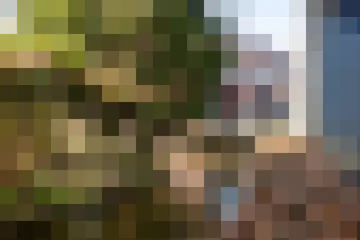 Graafland 8 c Groot-Ammers thumbnail 81