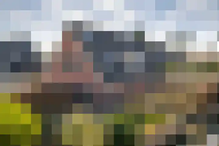 Graafland 8 c Groot-Ammers thumbnail 84