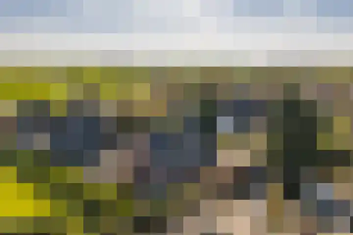 Graafland 8 c Groot-Ammers thumbnail 85