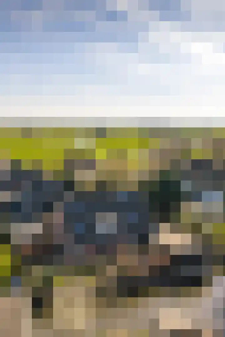 Graafland 8 c Groot-Ammers thumbnail 86