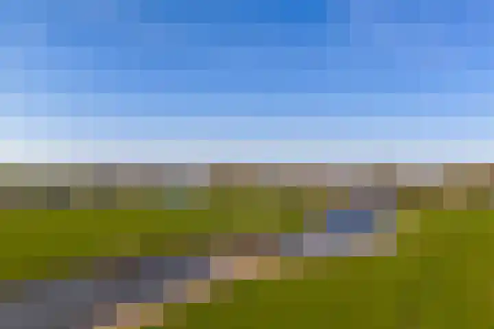 Graafland 8 c Groot-Ammers thumbnail 88