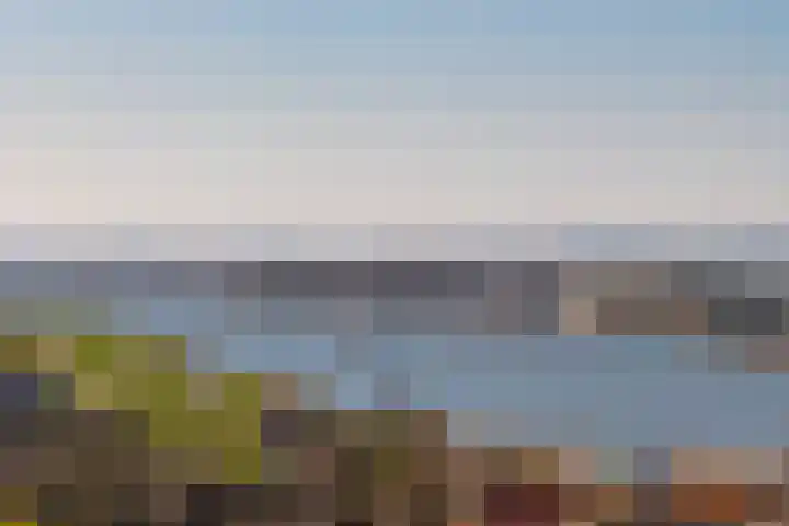 Graafland 8 c Groot-Ammers thumbnail 89