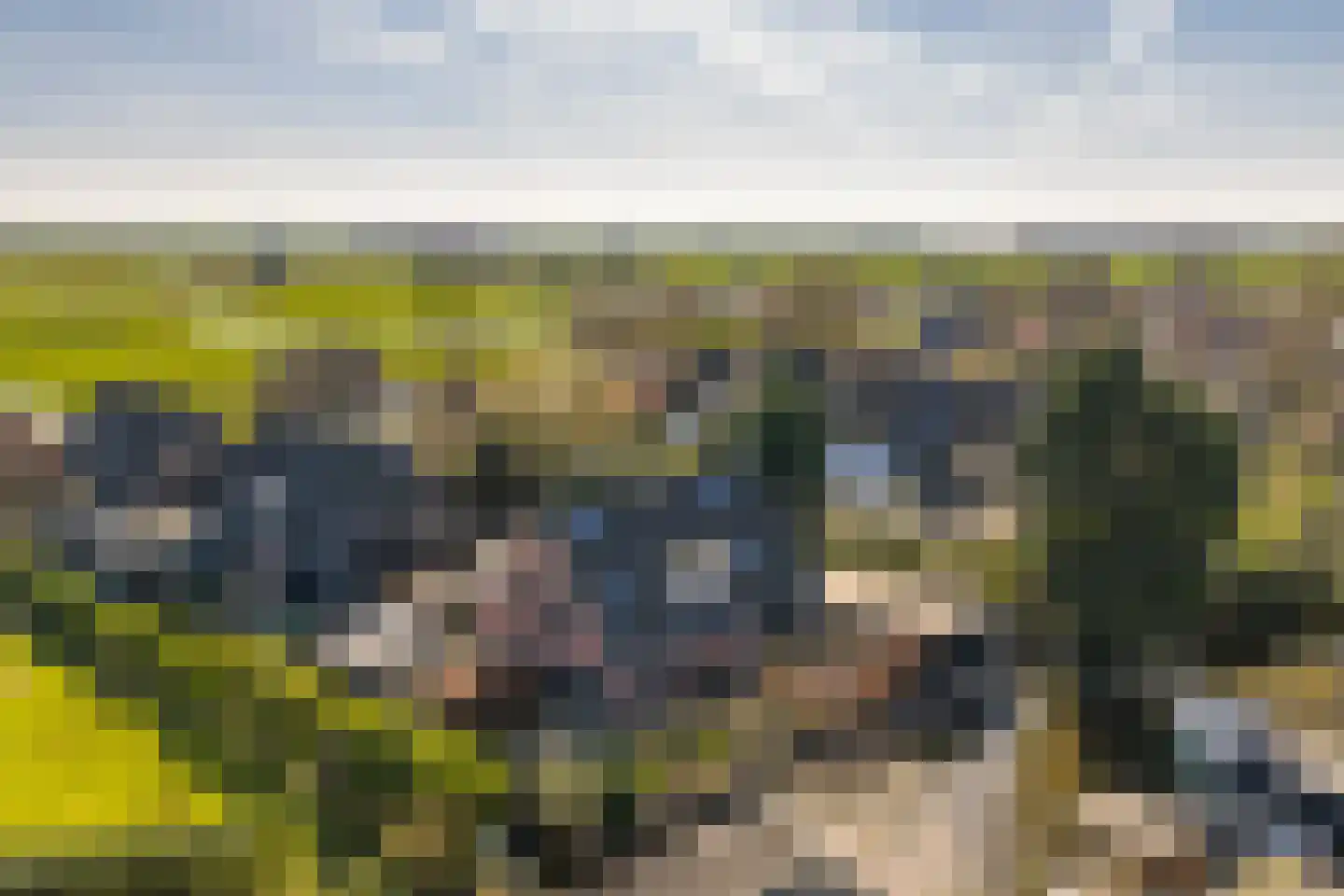 Graafland 8 c Groot-Ammers thumbnail 94