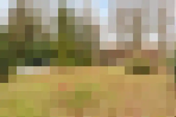 Graafschap 11 Emmeloord thumbnail 17