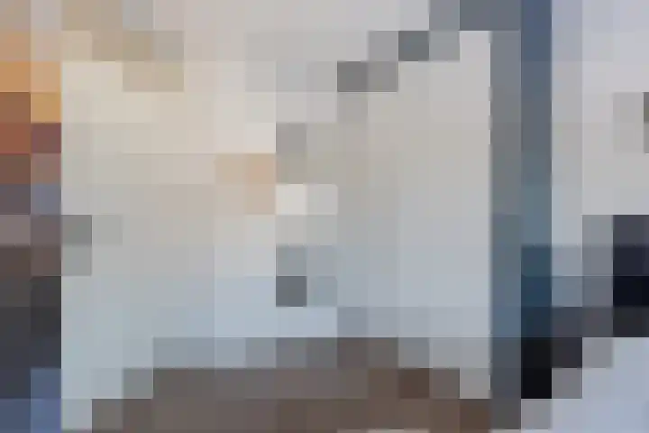 Graafschap 11 Emmeloord thumbnail 20