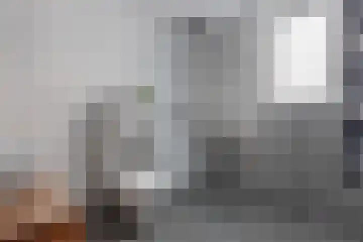 Graafschap 11 Emmeloord thumbnail 25