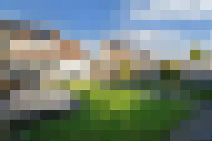 Graafschap 11 Emmeloord thumbnail 35