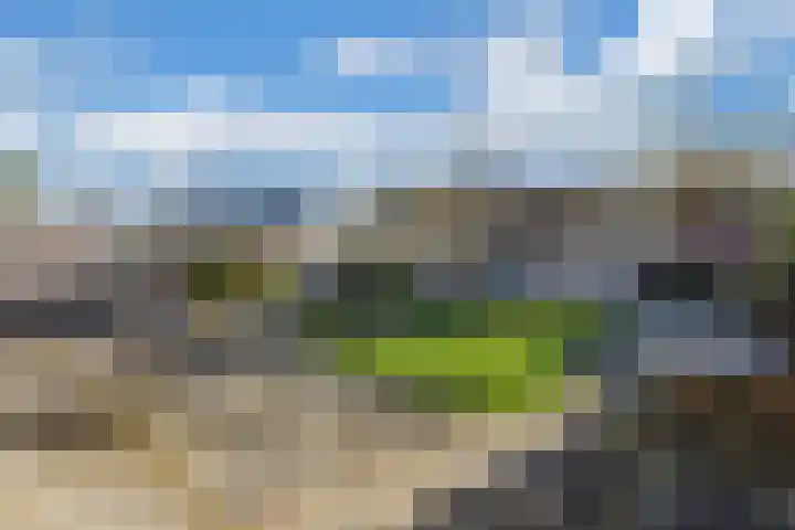 Graafschap 11 Emmeloord thumbnail 36