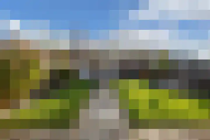 Graafschap 11 Emmeloord thumbnail 37