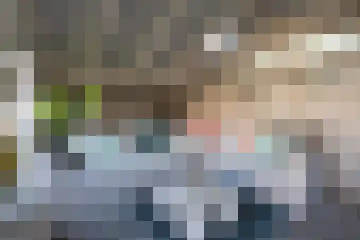 Graafschap 11 Emmeloord thumbnail 39