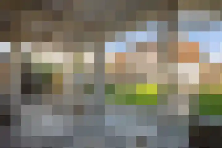 Graafschap 11 Emmeloord thumbnail 40