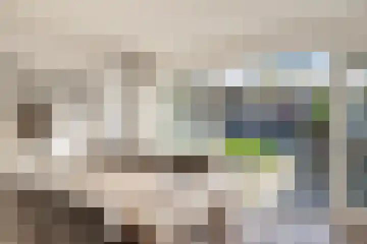 Graafschap 11 Emmeloord thumbnail 6