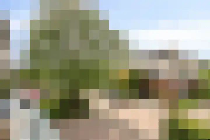 Graafschap 18 Lelystad thumbnail 25