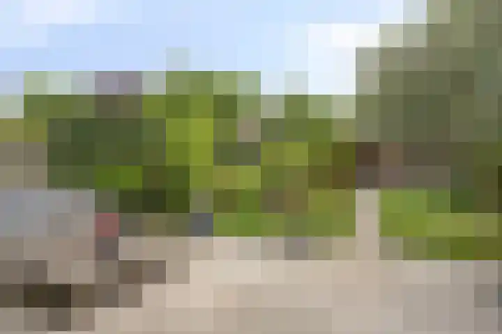 Graafschap 18 Lelystad thumbnail 26