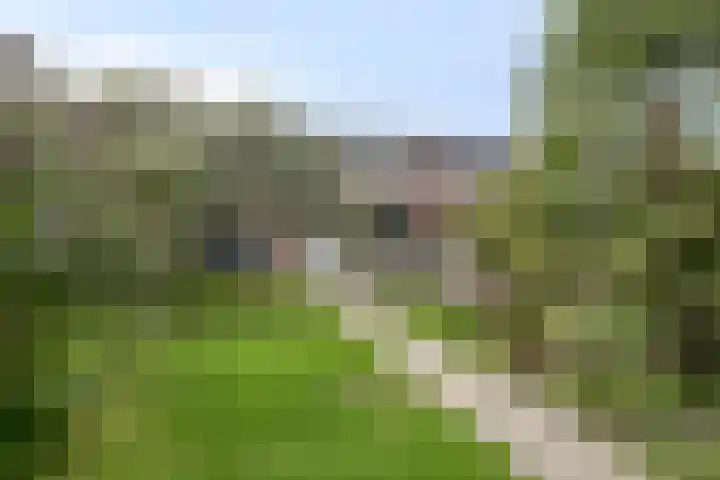 Graafschap 18 Lelystad thumbnail 28