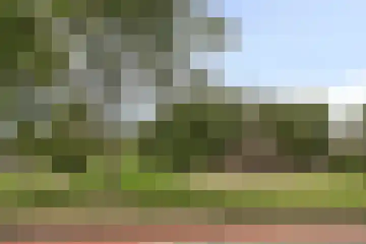 Graafschap 18 Lelystad thumbnail 29